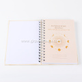 369 Affirmation Manifestation Daily Journal Alternative Title